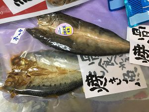 ウィンターセール焼き魚