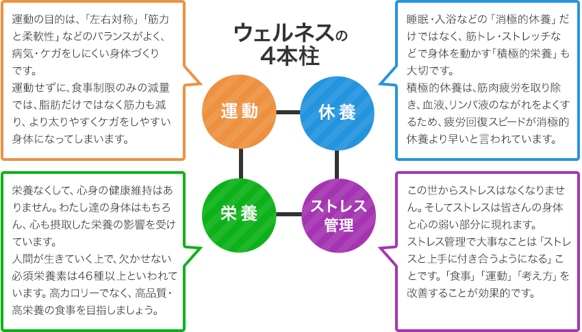 ウェルネスコースの理論