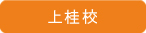 上桂
