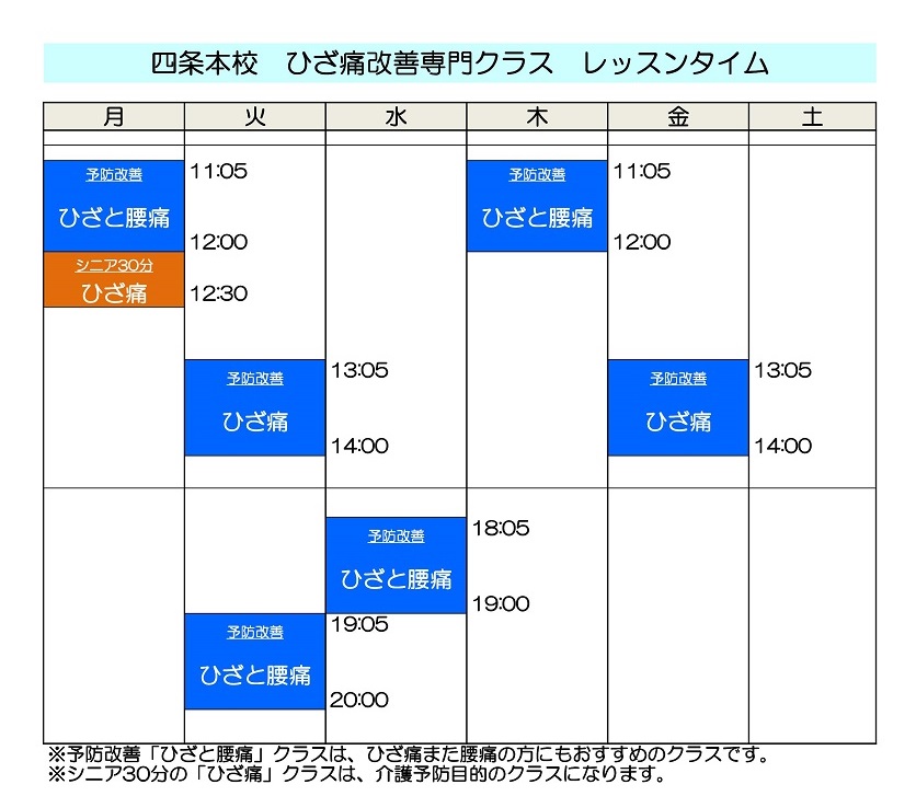 ひざ痛改善レッスンプログラム