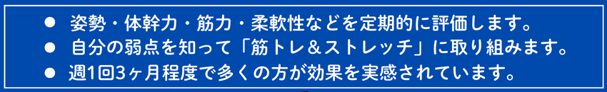 姿勢体幹力筋力柔軟性などを評価します。