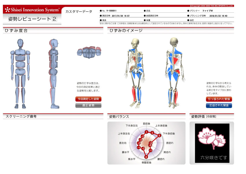 ひざ痛タイプ姿勢シート